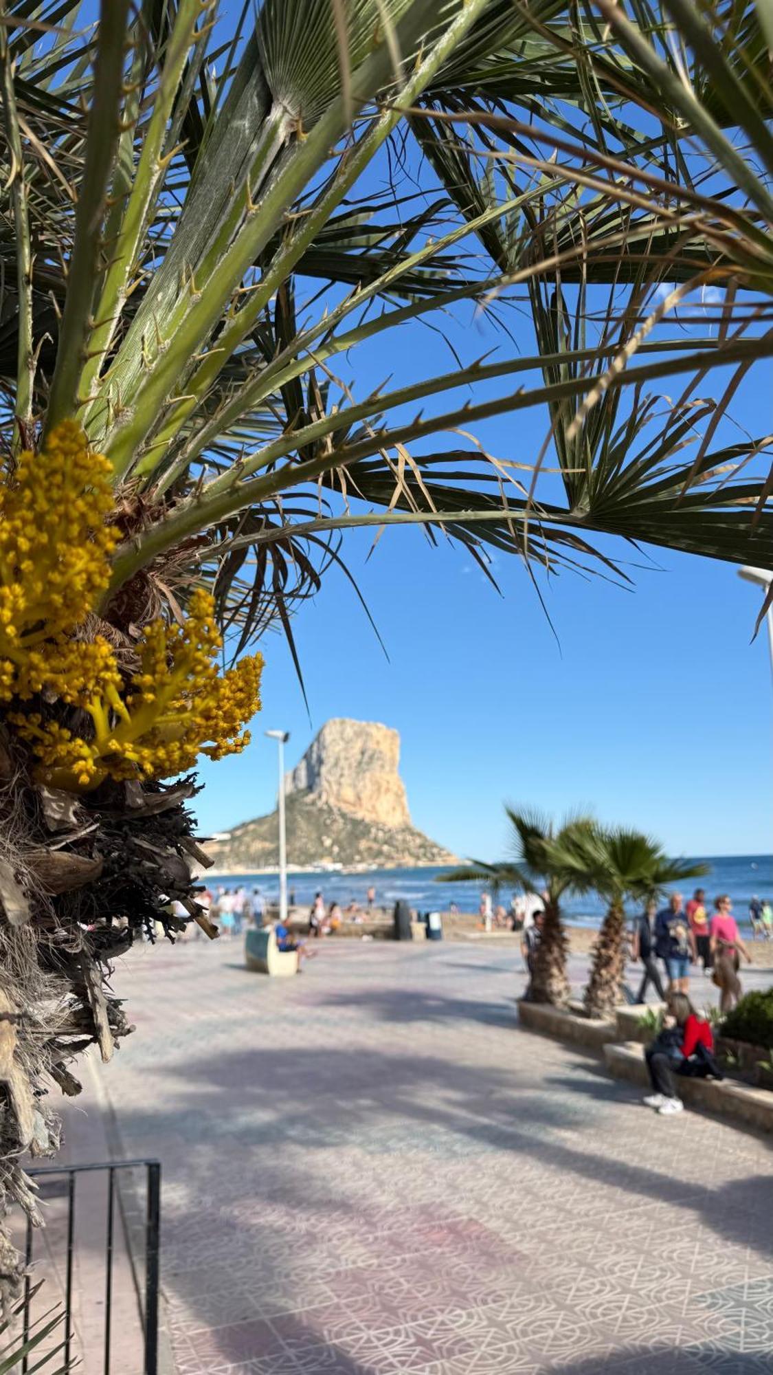 Esmeralda Suites Sunrise Con Piscina Calpe Zewnętrze zdjęcie