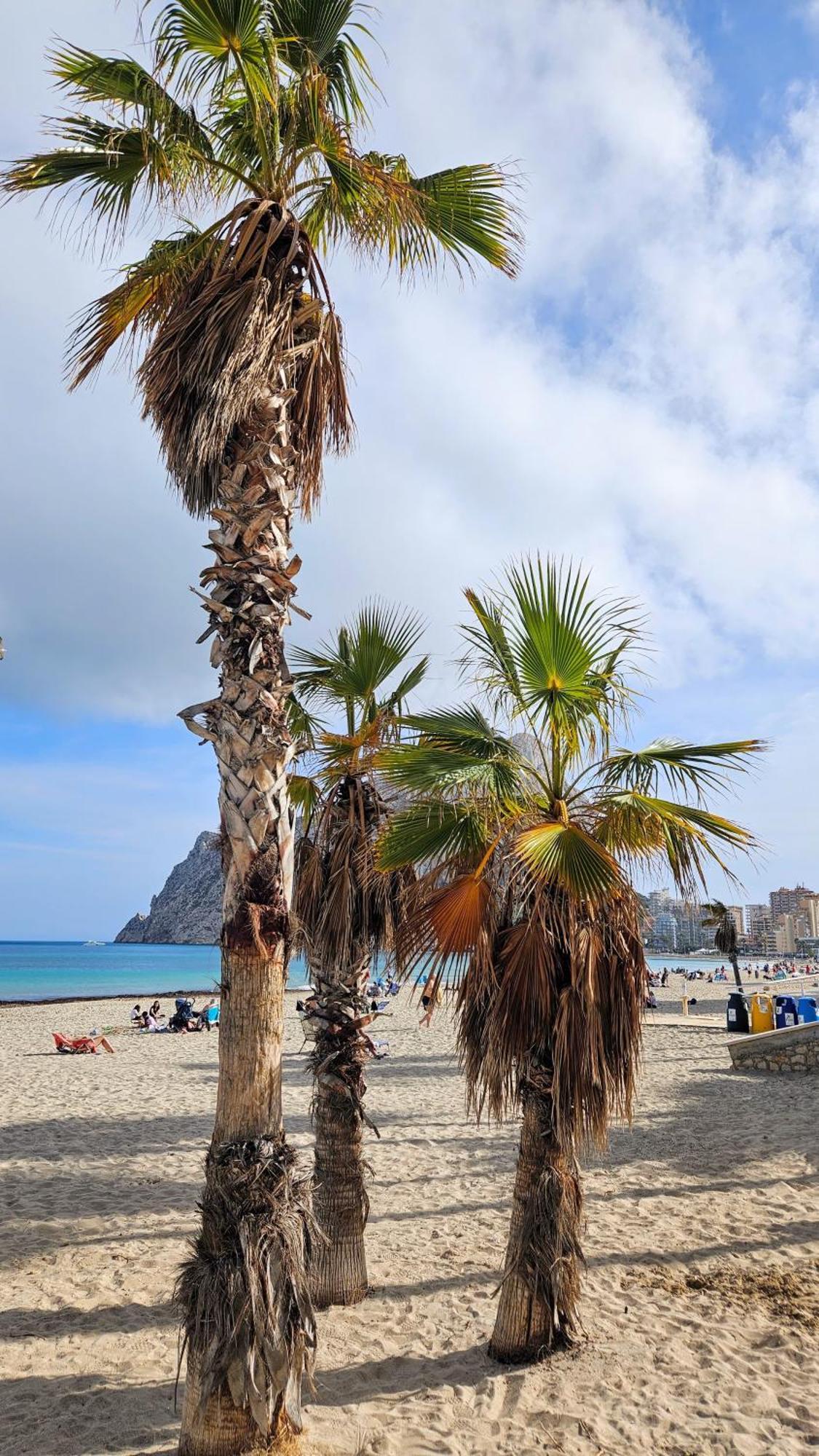 Esmeralda Suites Sunrise Con Piscina Calpe Zewnętrze zdjęcie
